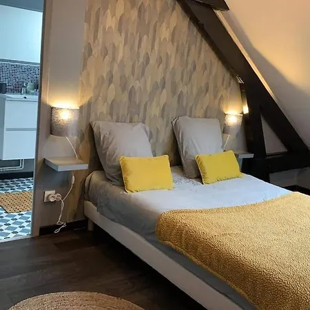Vakantiehuis 38 Maison Entiere,place De Parking Et Garage Pour Moto Velo A La Demande *